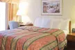 Homewood Suites by Hilton Dallas-DFW Airport N-Grapevine - Second Medium