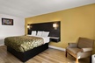 Econo Lodge White Pine Morristown I-81 & I-40 Split - Second Medium