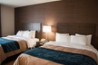 Comfort Inn Levis - Second Medium