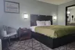 Quality Inn Grand Rapids Near Dowtown - Second Medium