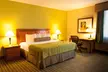 Best Western Plus Miami-Doral/Dolphin Mall - Second Medium