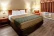 Econo Lodge on the Bay - Second Medium