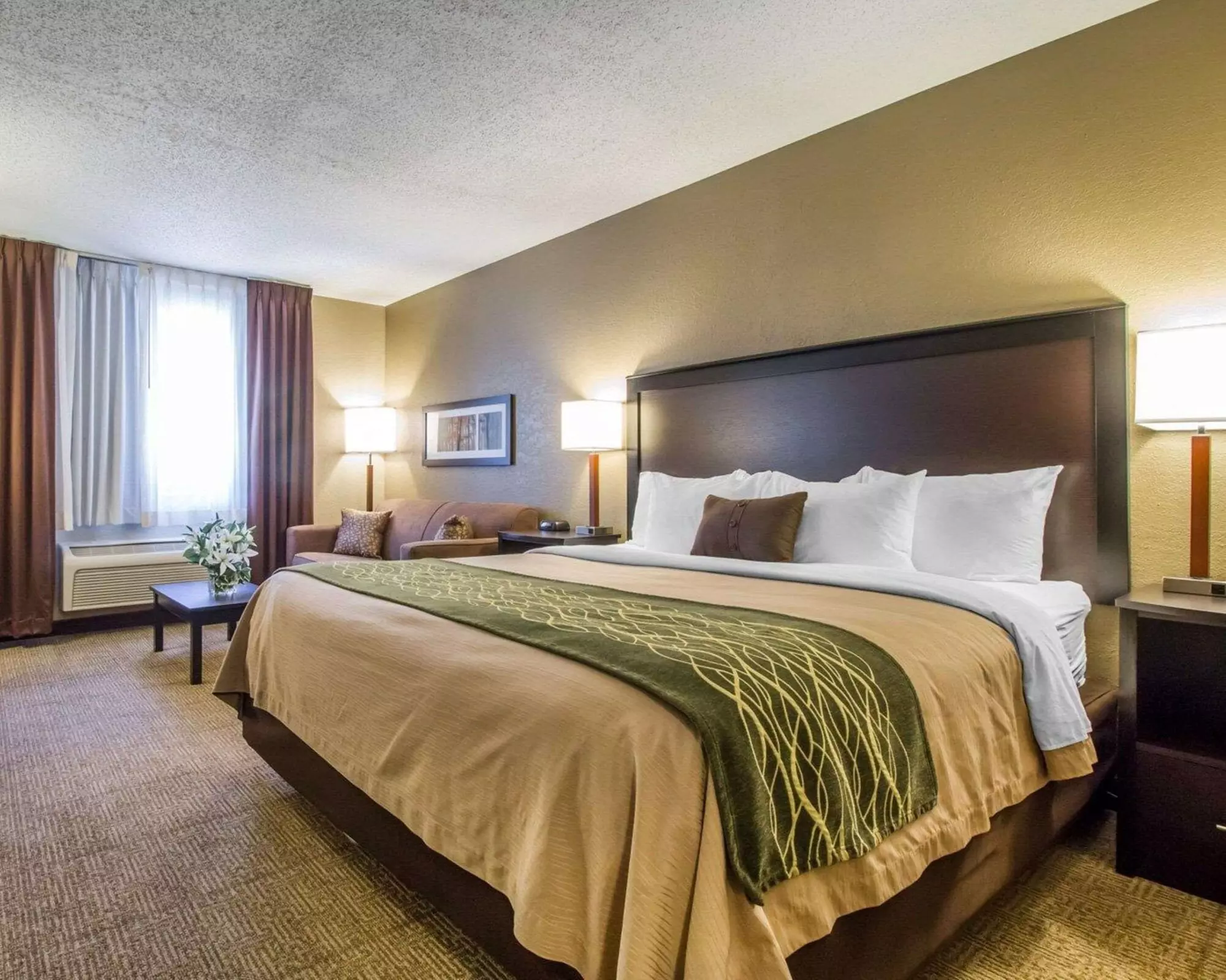Quality Inn - Primary Image