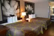 Super 8 by Wyndham Madison - Second Medium