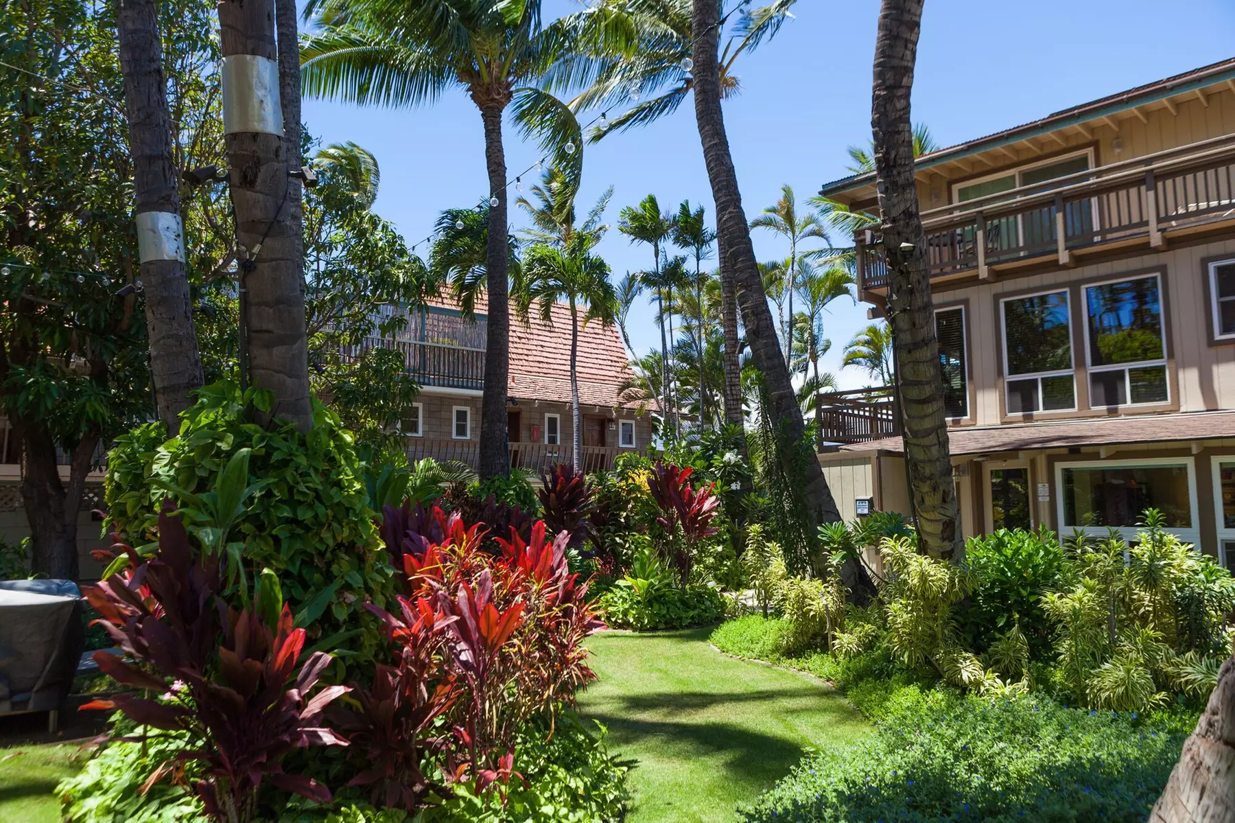 Kohea Kai Hotel Maui - Primary Image