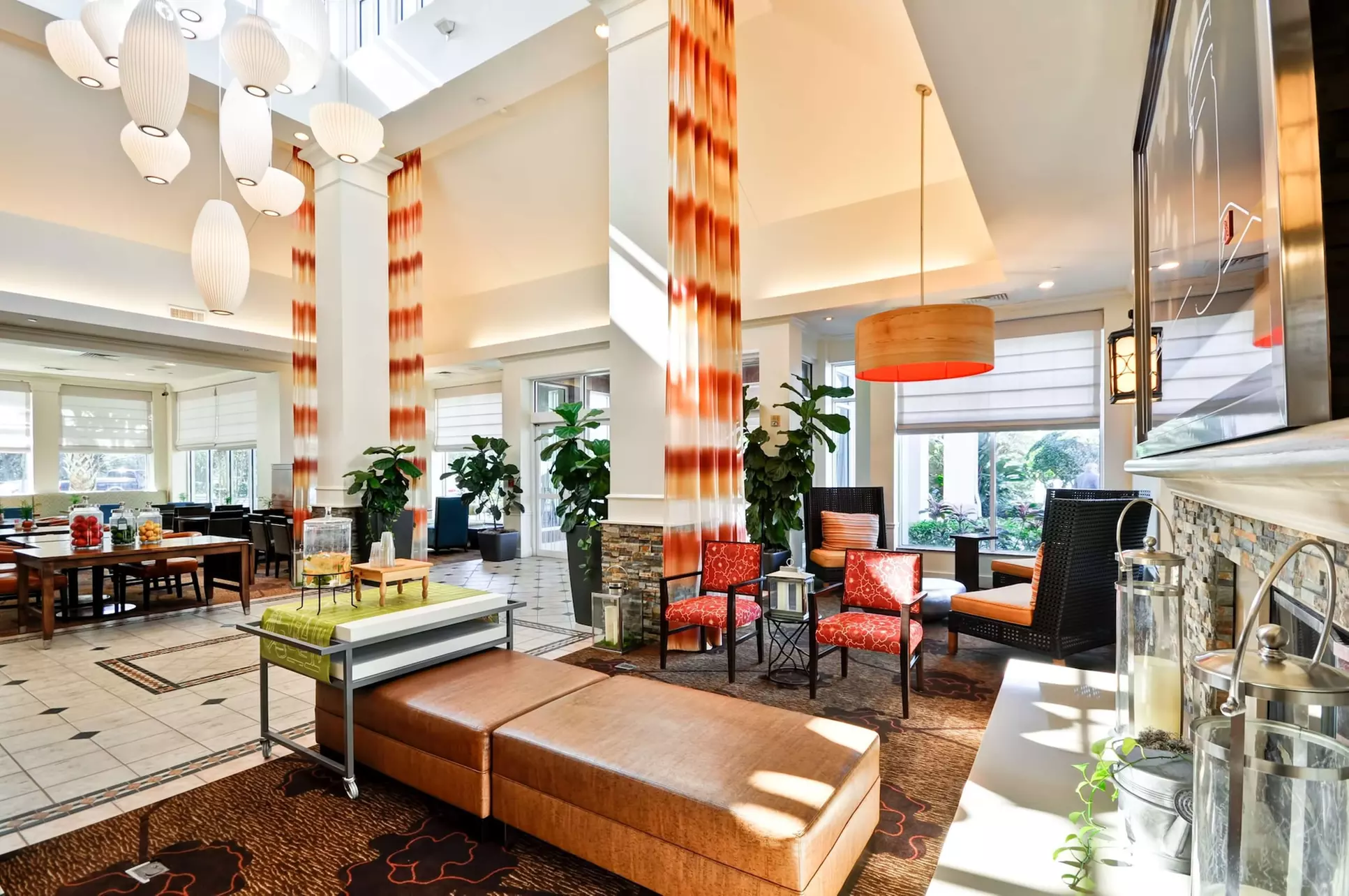 Hilton Garden Inn Tampa North Busch Gardens