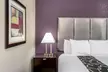 La Quinta Inn & Suites by Wyndham Canton MS - Second Medium