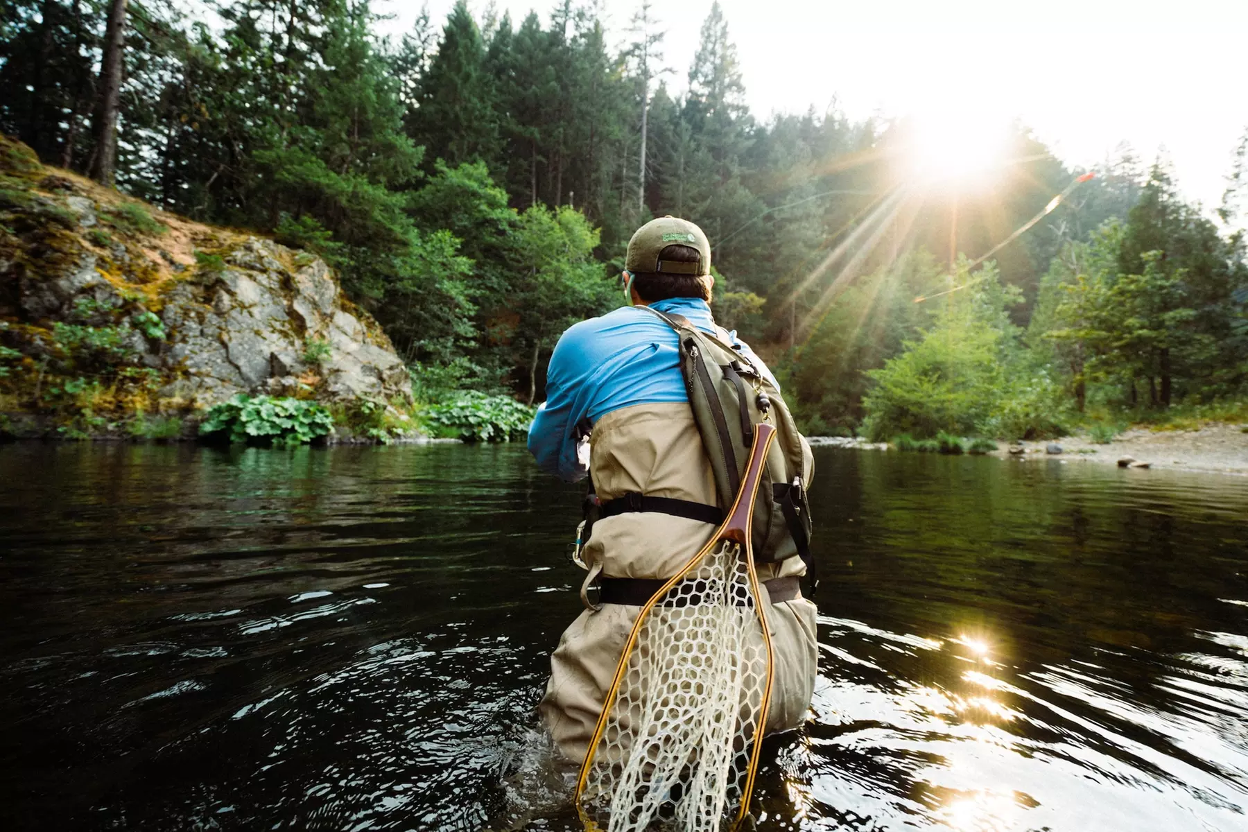 Holiday Inn Express Yreka-Shasta Area by IHG - Primary Image