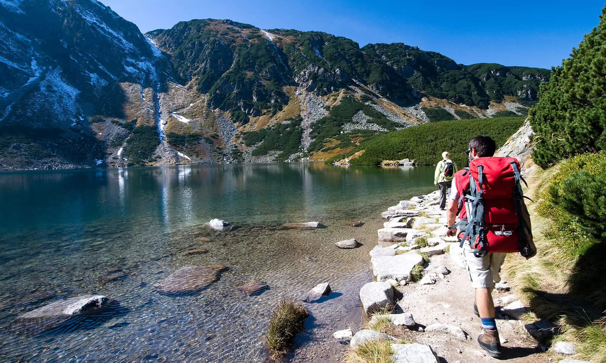 $9 for Survivalist Training, Permaculture Design, or Wilderness Survival Course from Thrive ($397 Value) - Primary Image