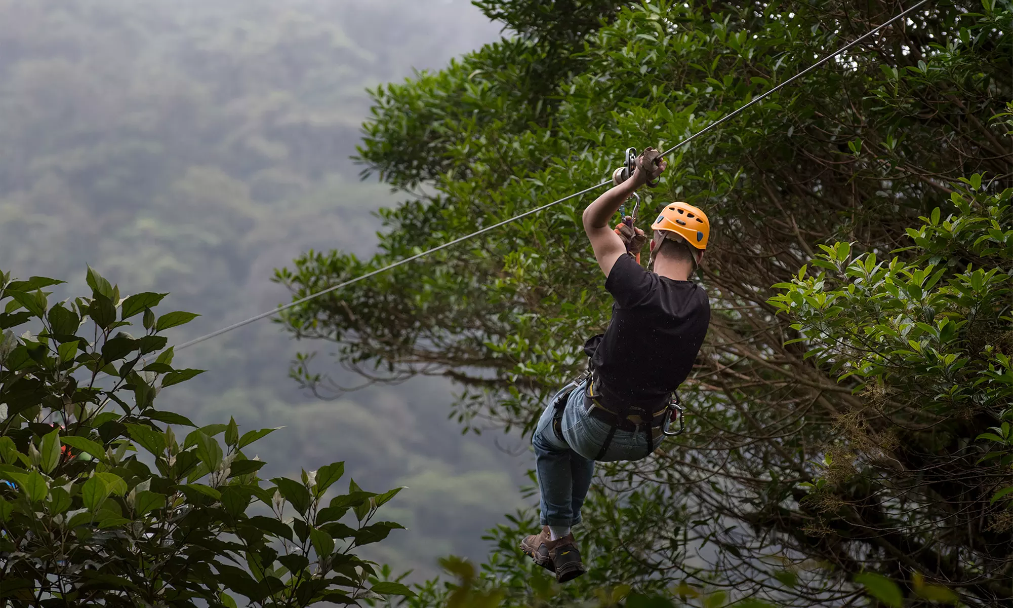 Two-Hour Canopy Zip Tour for One or Two at Adventureworks (Up to 39% Off) - Primary Image