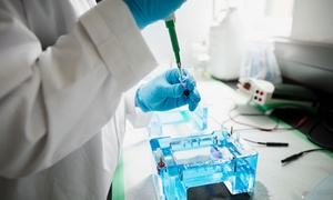 Global Testing Lab: Intolerance Tests of Your Choice by Global Testing Lab (Up to 62% Off)