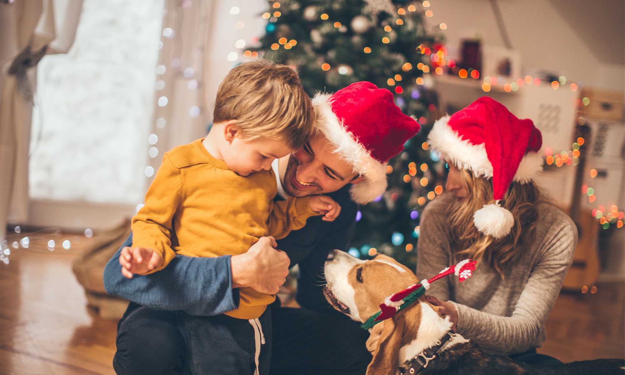 Weihnachts-Spezial-Fotoshooting für bis zu 6 Personen