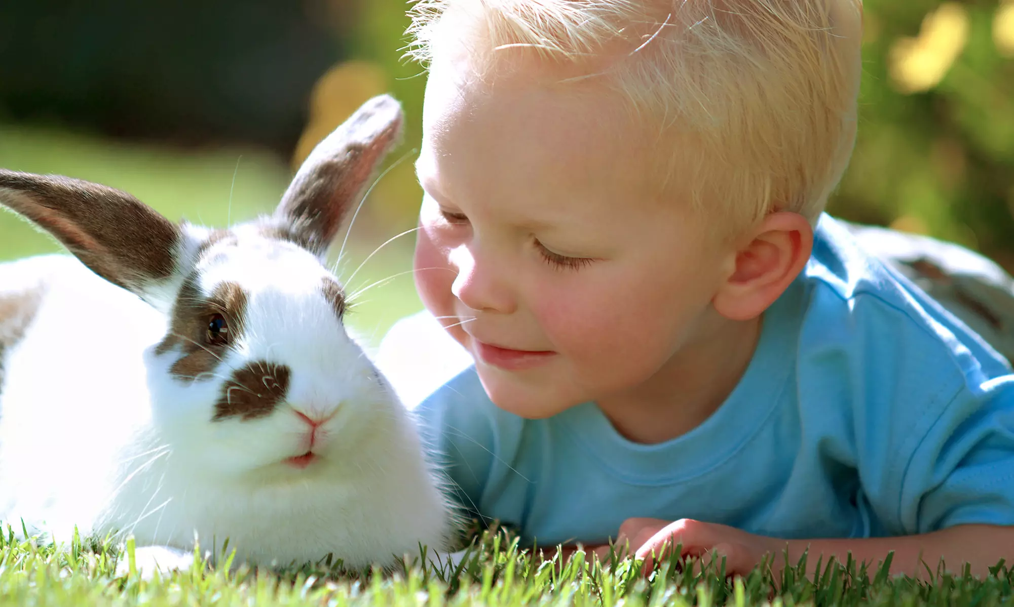 Nielimitowane czasowo bilety wstępu do interaktywnego mini zoo "Przyjazny zwierz" (do -41%) - Primary Image