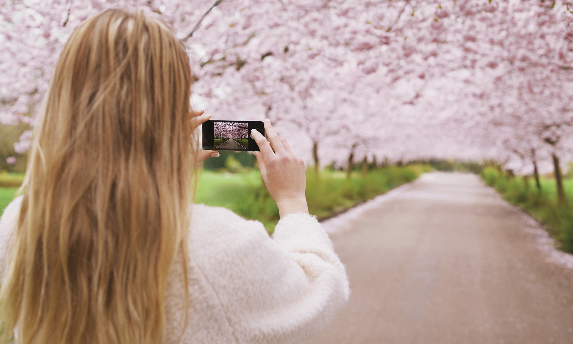 Smartphone Photography Online or Lifetime Membership to 2500+ Courses