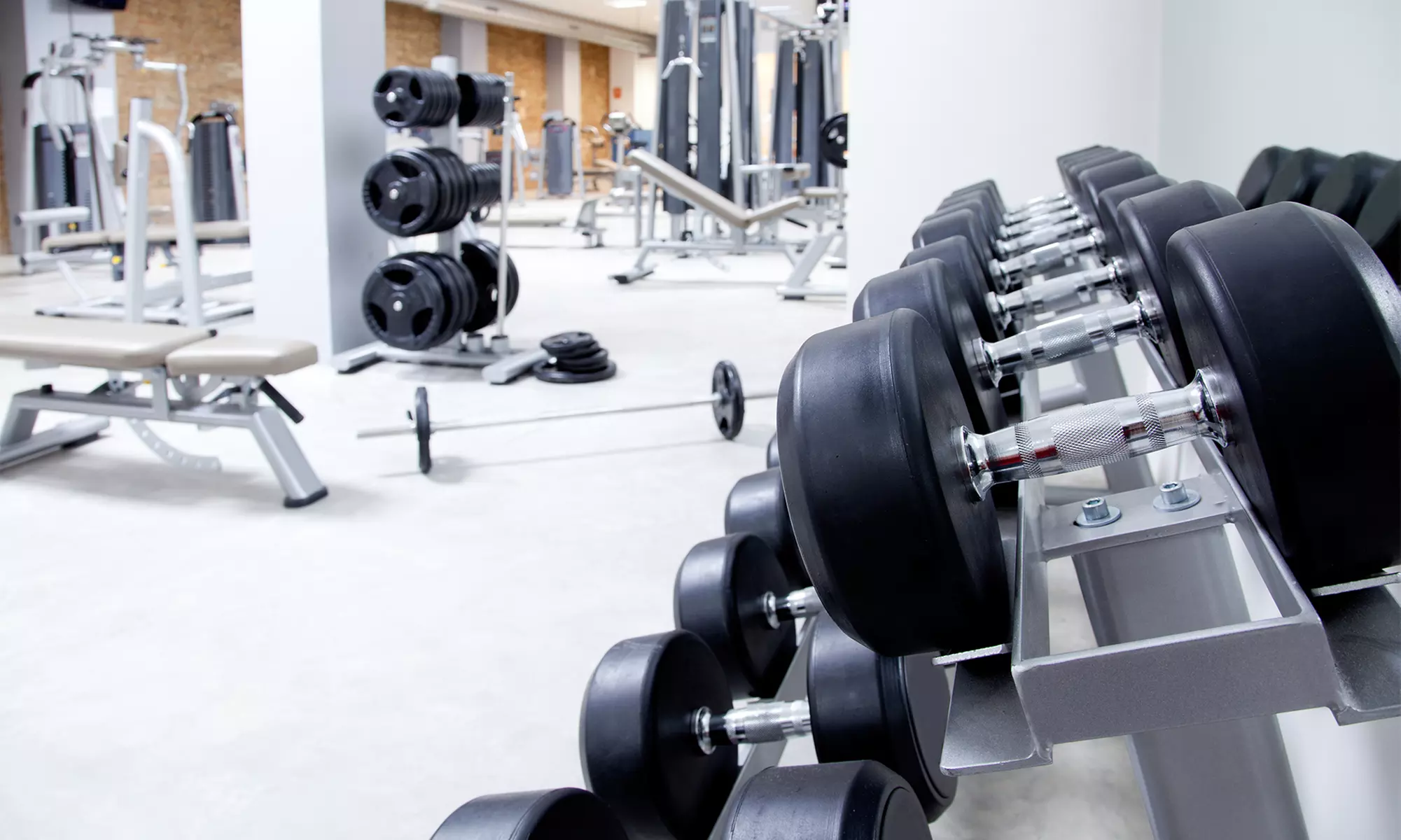 One- or Three-Month Membership at Glendon Athletic Club (Up to 68% Off) - Primary Image