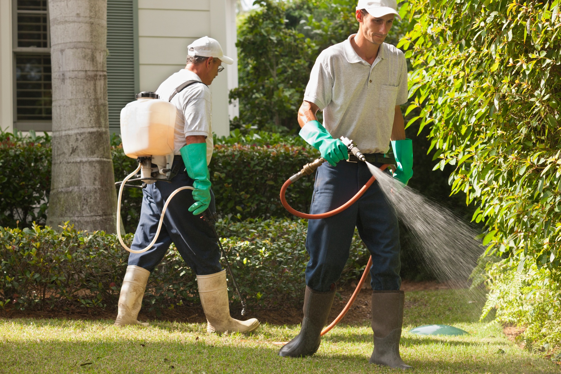 Up to 50% Off on Pest Control Service - General