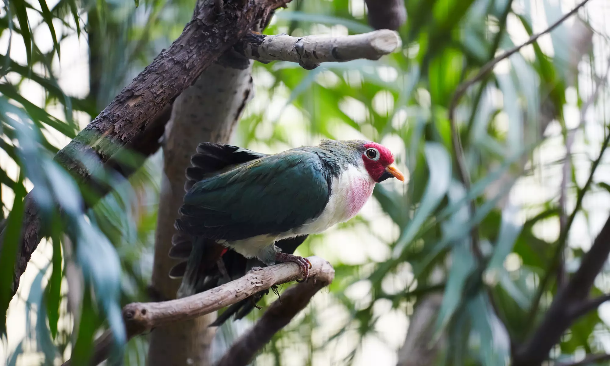 Up to 52% Off on Bubble Tea at Test Business1 - Primary Image