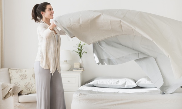 Groupon feather hot sale duvet