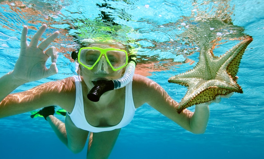 Image 1: One, Two or Three Snorkels, Mask & Wetsuit: All-Day Hire