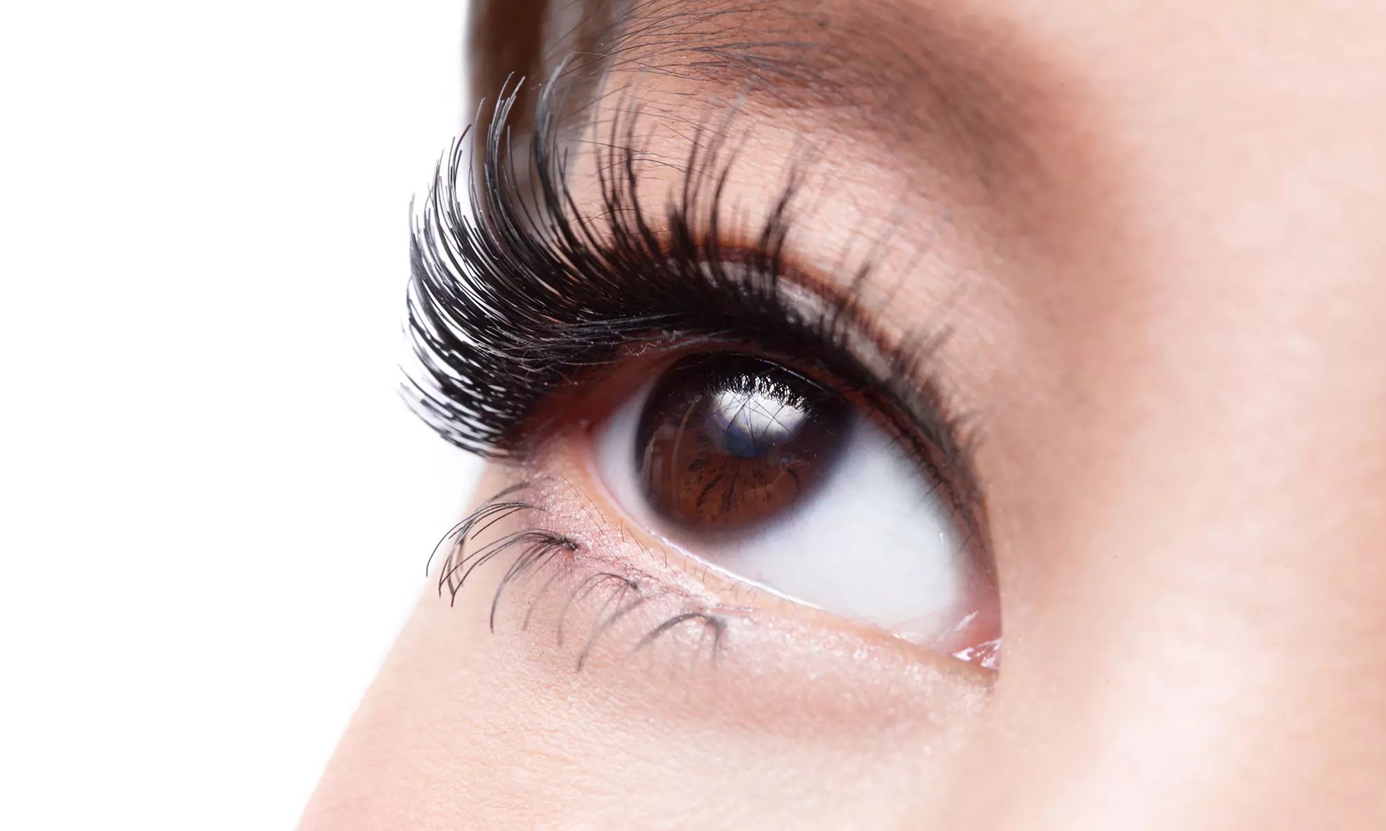 Full Set of Eyelash Extensions with Optional Fill at LA Lash Bar (Up to 47% Off)  - Primary Image