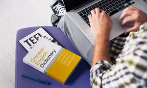 Master TEFL skills with Enjoy TEFL’s 120h, 180h, 60h, and 40h courses — Save up to 69% 