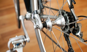 Fahrrad Paschen: Fahrradinspektion, optional mit Abhol-Service bei Fahrrad Paschen (bis zu 63% sparen*)