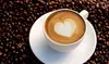 $10 or $15 towards Food and Drink , Valid Monday - Wednesday at Wolf and Mermaid Enchanted Cafe (Up to 27% Off)
