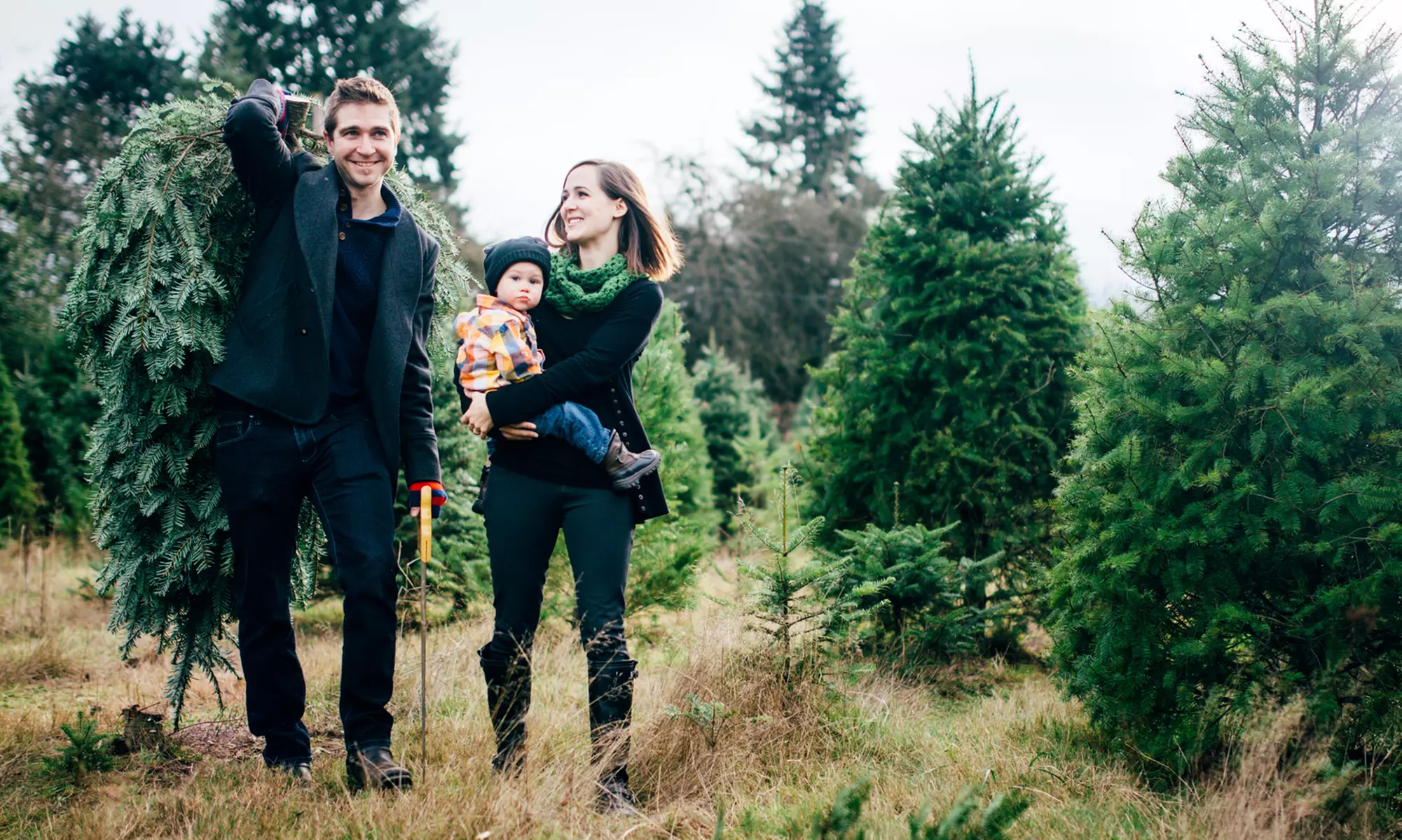 1x Bio-Nordmanntanne oder Bio-Edeltanne bis 1,50 m oder bis 2,50 m