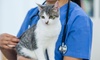 One Dog or Cat Wellness Vaccine Plus Package at Goshen Animal Clinic (Up to 59% Off)