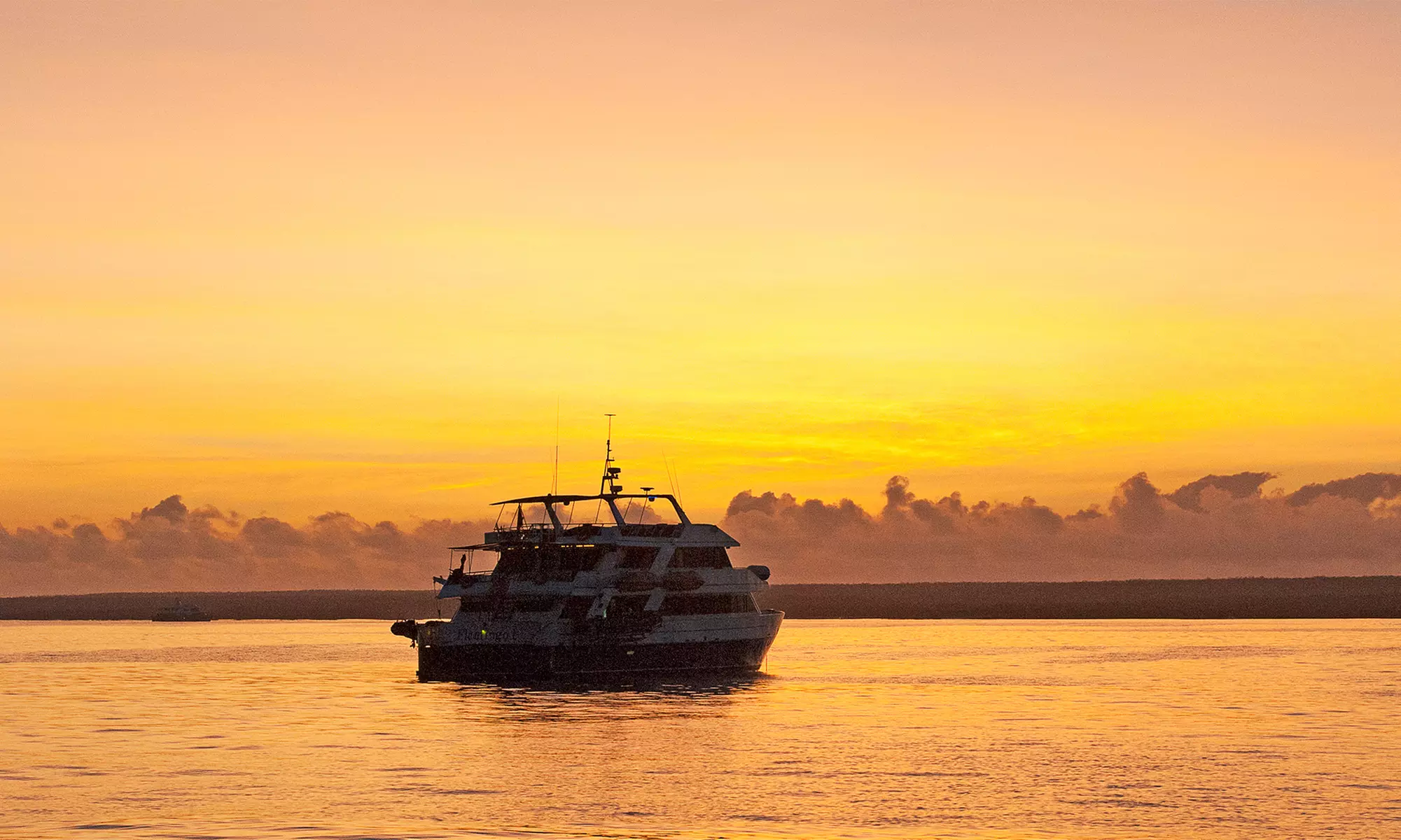 Saturday Sunset Cruise for One, Two, or Four from Captain Lou's Whale and Dolphin Watching Tours (Up to 50% Off) - Primary Image