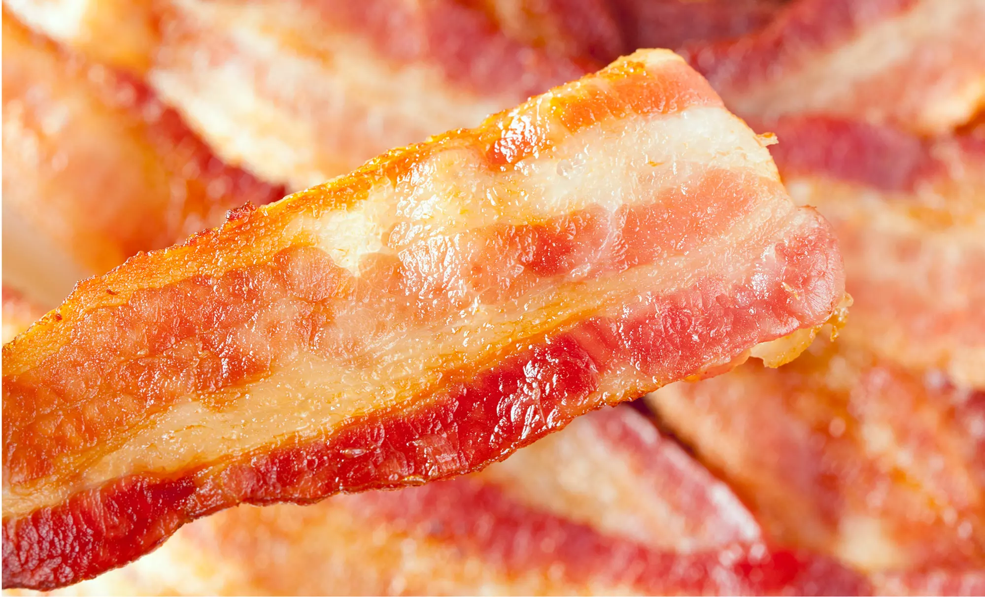 Grand River Fest Presents Boats and Baconfest for Two or Four on May 23 or 24 at 10 a.m. (44% Off) - Primary Image