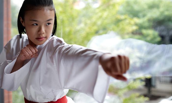 Taekwondo Classes
