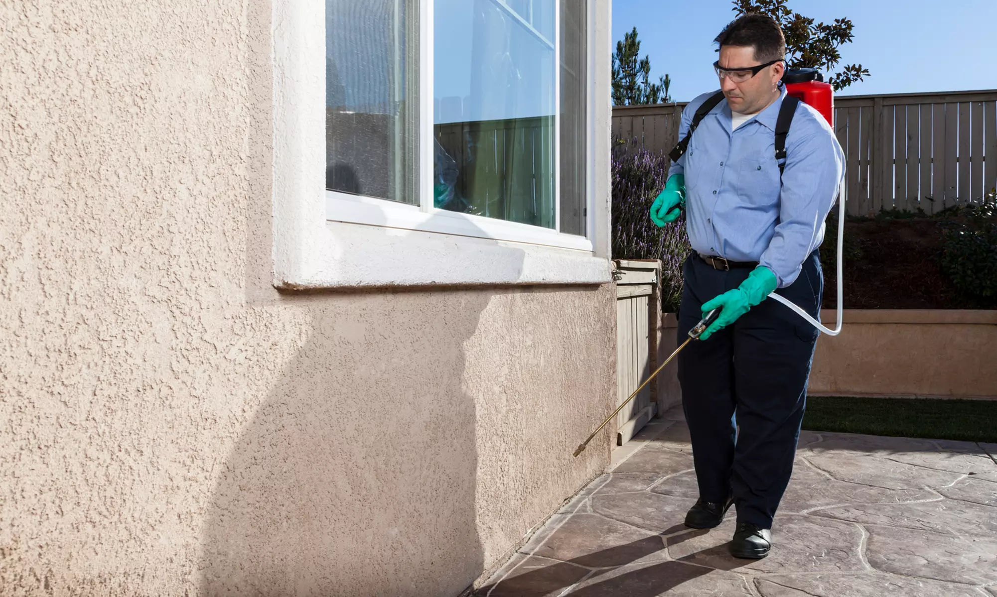 Up to 44% Off on Pest Control Service - Termite at Ralph and Sons Pest Control - Primary Image
