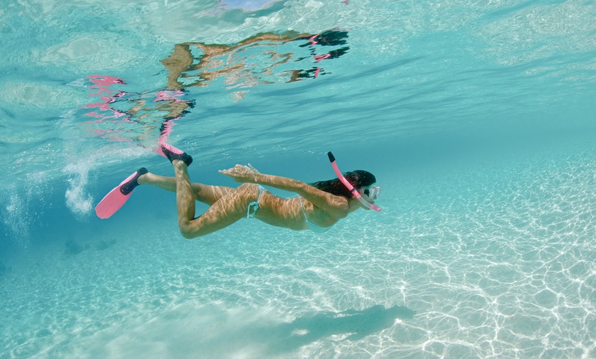 Image 1: Snorkel (Activity / Experience) at Phoenix Watersports