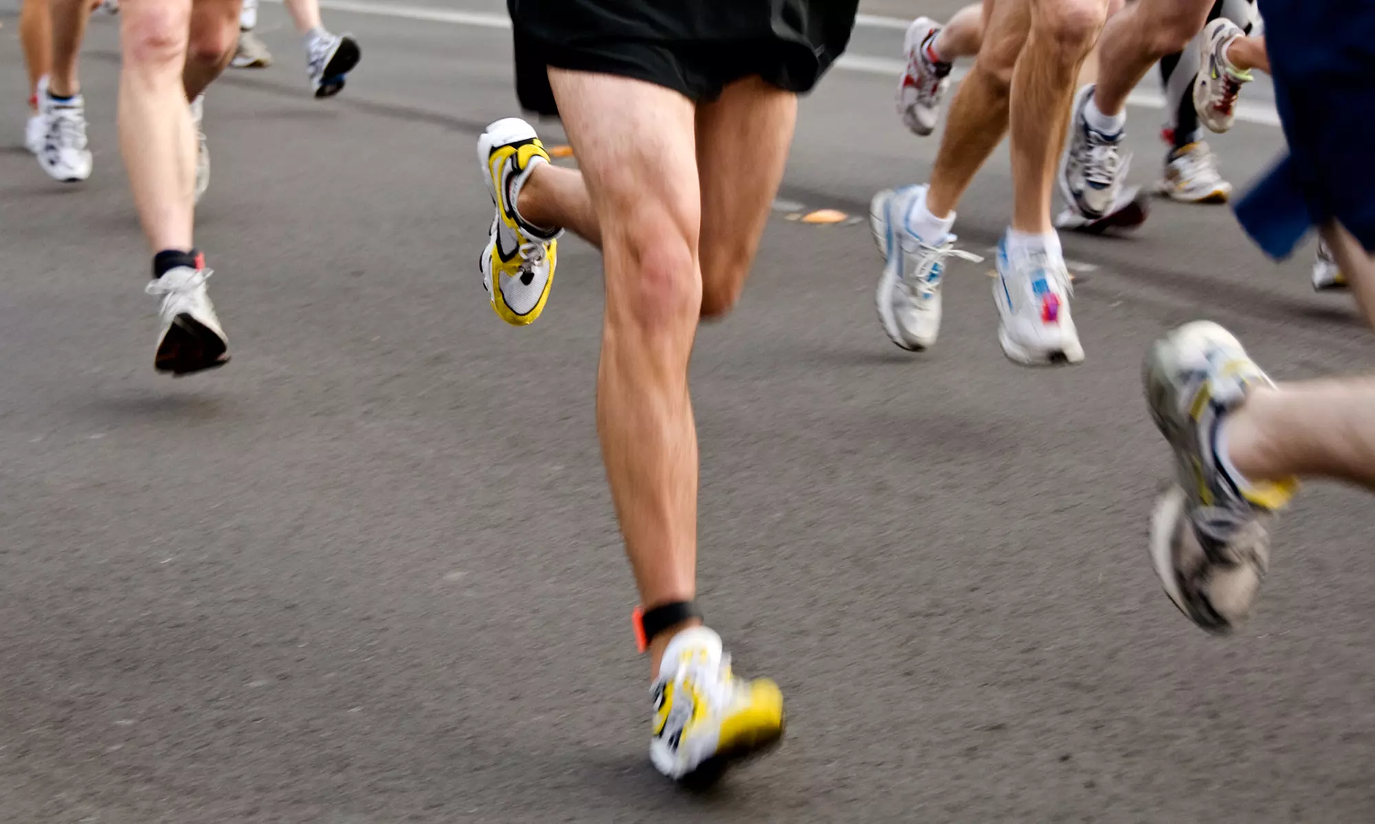 Join the Oregon Ducks 5K Color Run: Solo, Two, or Four Ducks