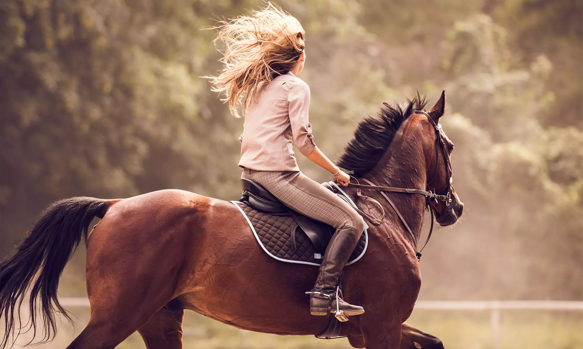 Four or Eight Riding Lessons at Cash Lovell Stables (Up to 48% Off) - Primary Image