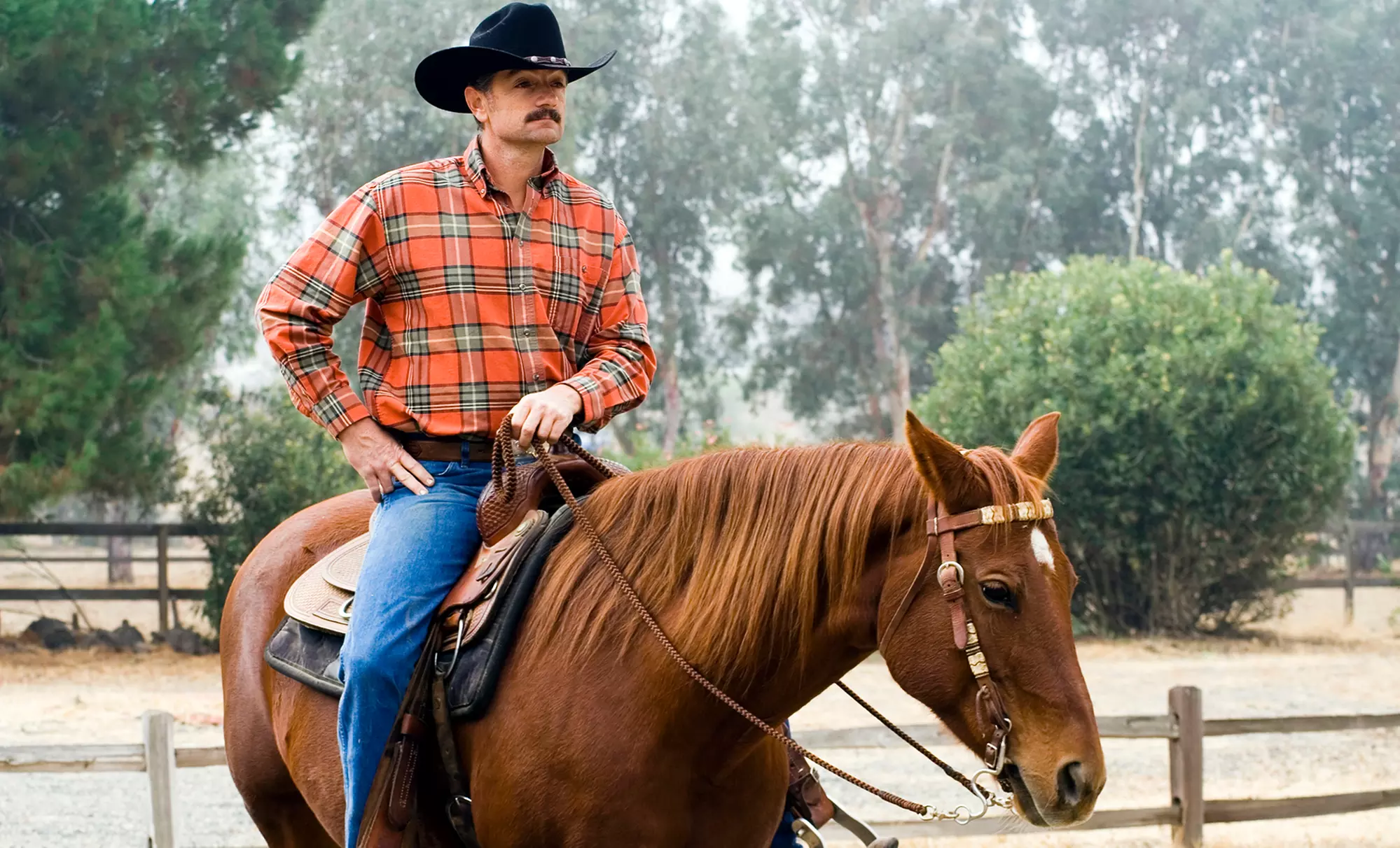 Up to 10% Off on Horse Back Riding - Recreational at Crazy 8 Ranch - Primary Image