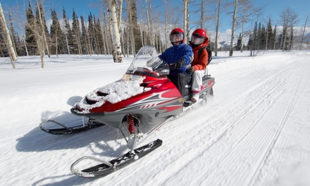 Half-Hour Beginner Snowmobile Tour - Out Back Kayak