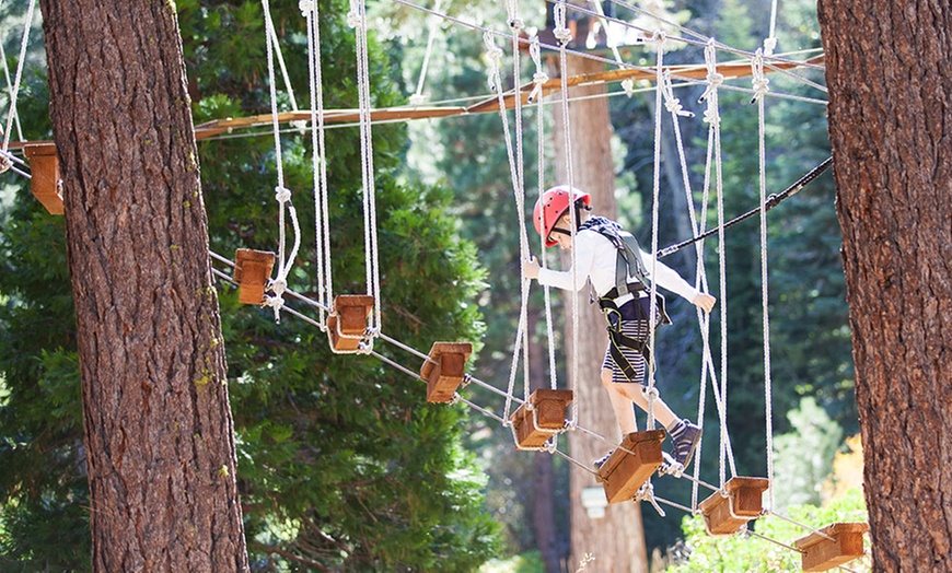 Image 1: Personalized Obstacle Course Skills Training for Kids & Adults