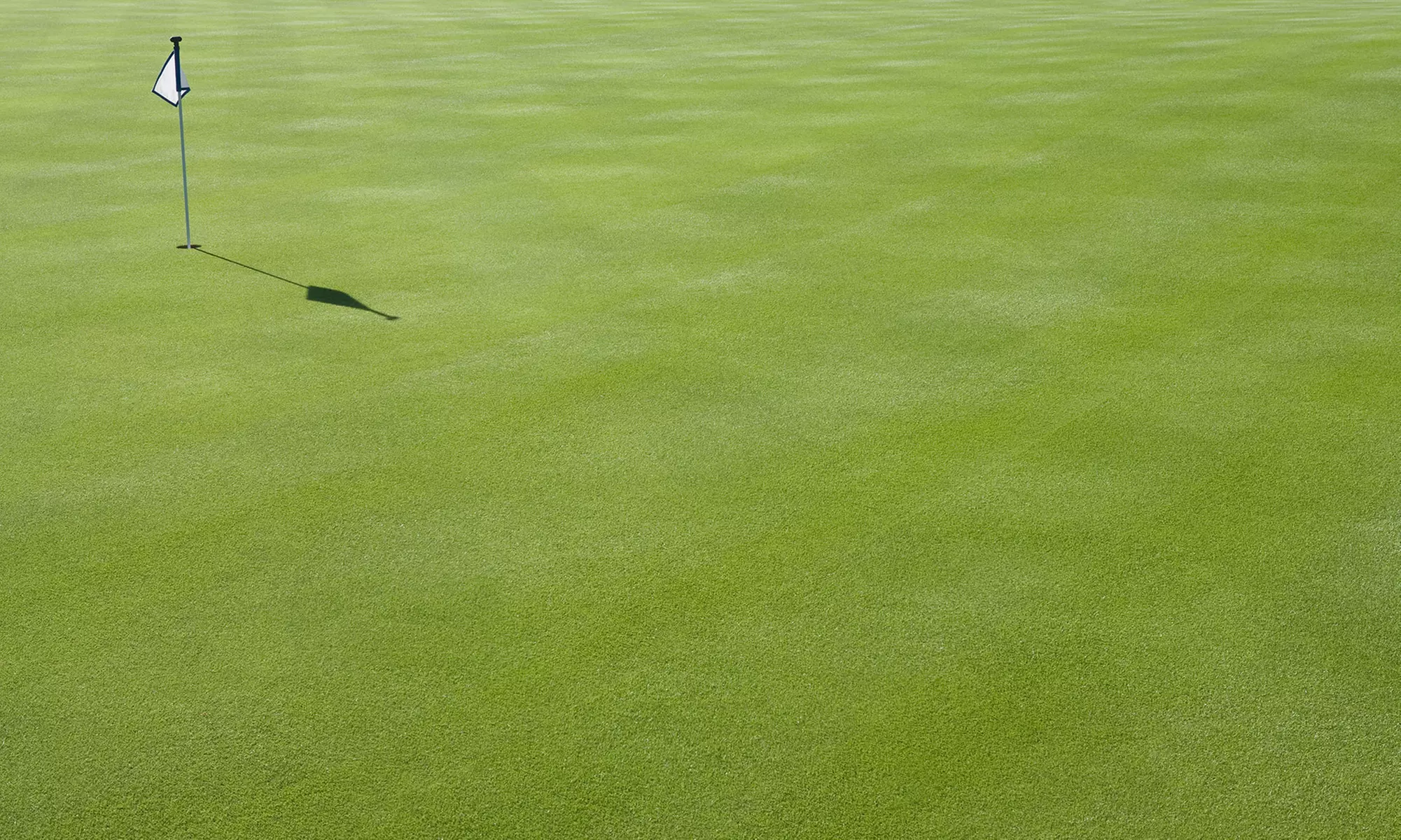 One-Hour Private Golf Lesson or Mizuno PFS Club Fitting Session at Scott Hogan Golf (Up to 35% Off) - Primary Image