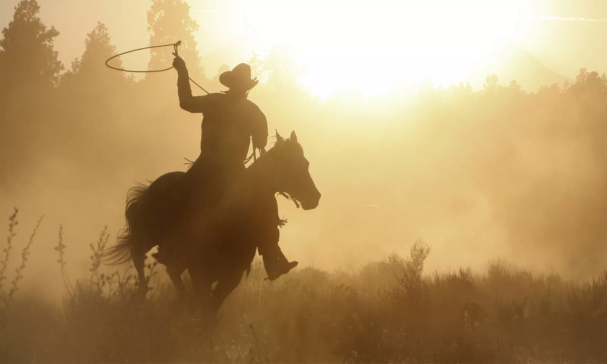 Experience the Texas Cowboy Hall of Fame with a self-guided tour featuring cowboy gear, offering up to 0% off - Second Medium
