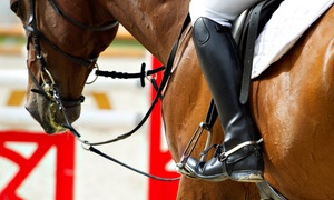 La Collina Degli Stivali: 3, 5 o 10 lezioni di equitazione per adulti o passeggiata a cavallo (sconto fino a 84%)