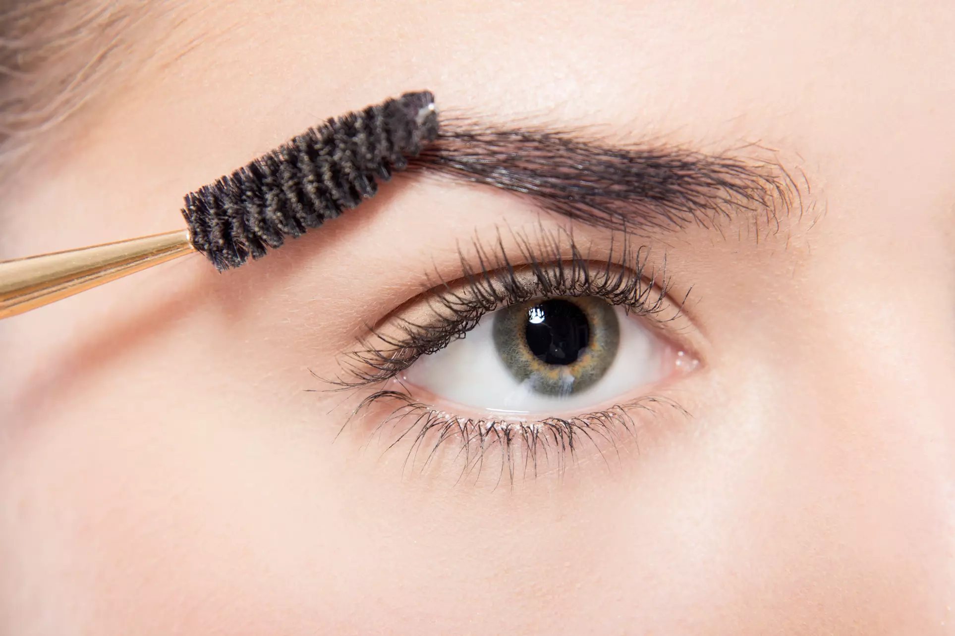 Up to 58% Off on Eyebrow Tinting at Brows And Hair By Santoshi