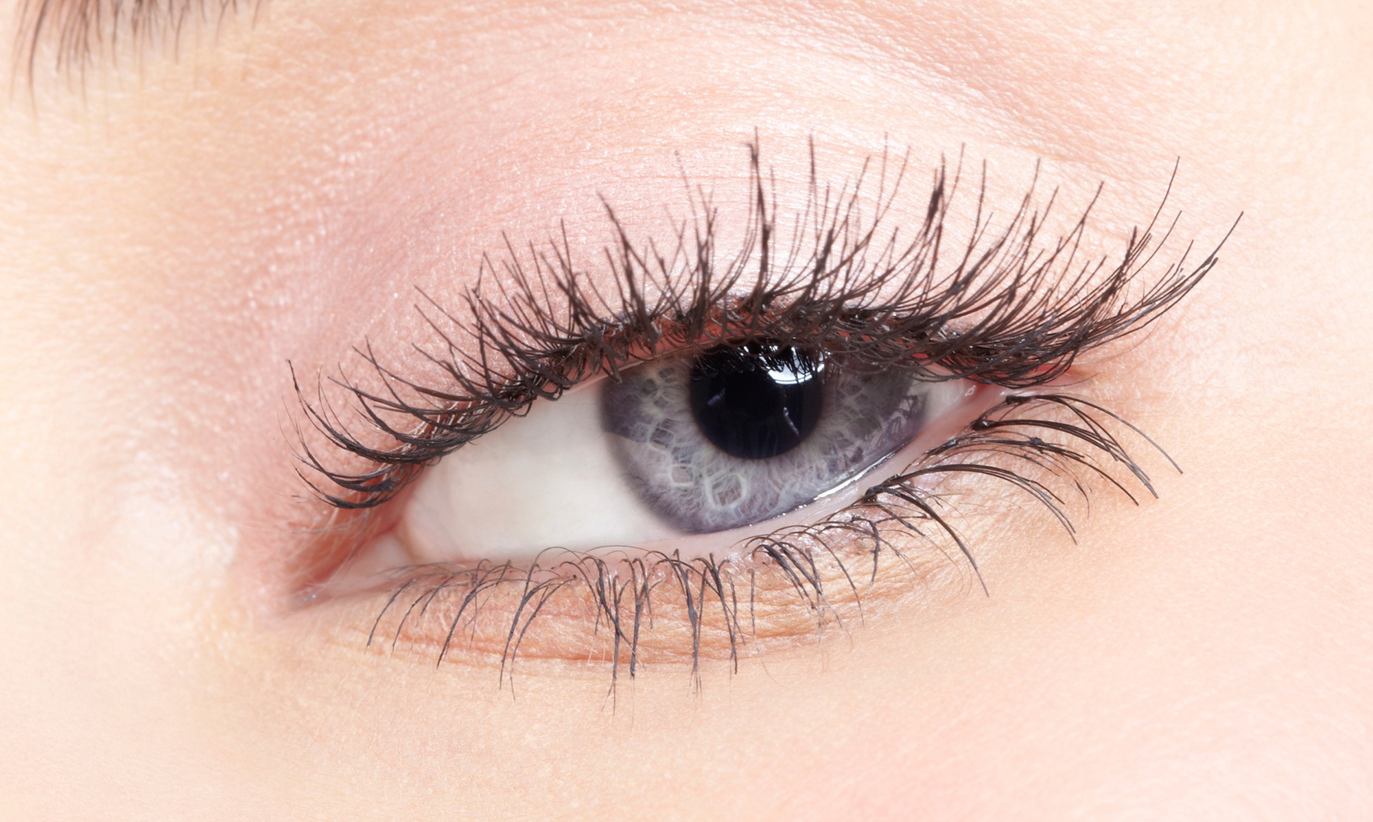 One Permanent Eyebrow Tattoo  or Eyeliner Tattoo touch-up Session
