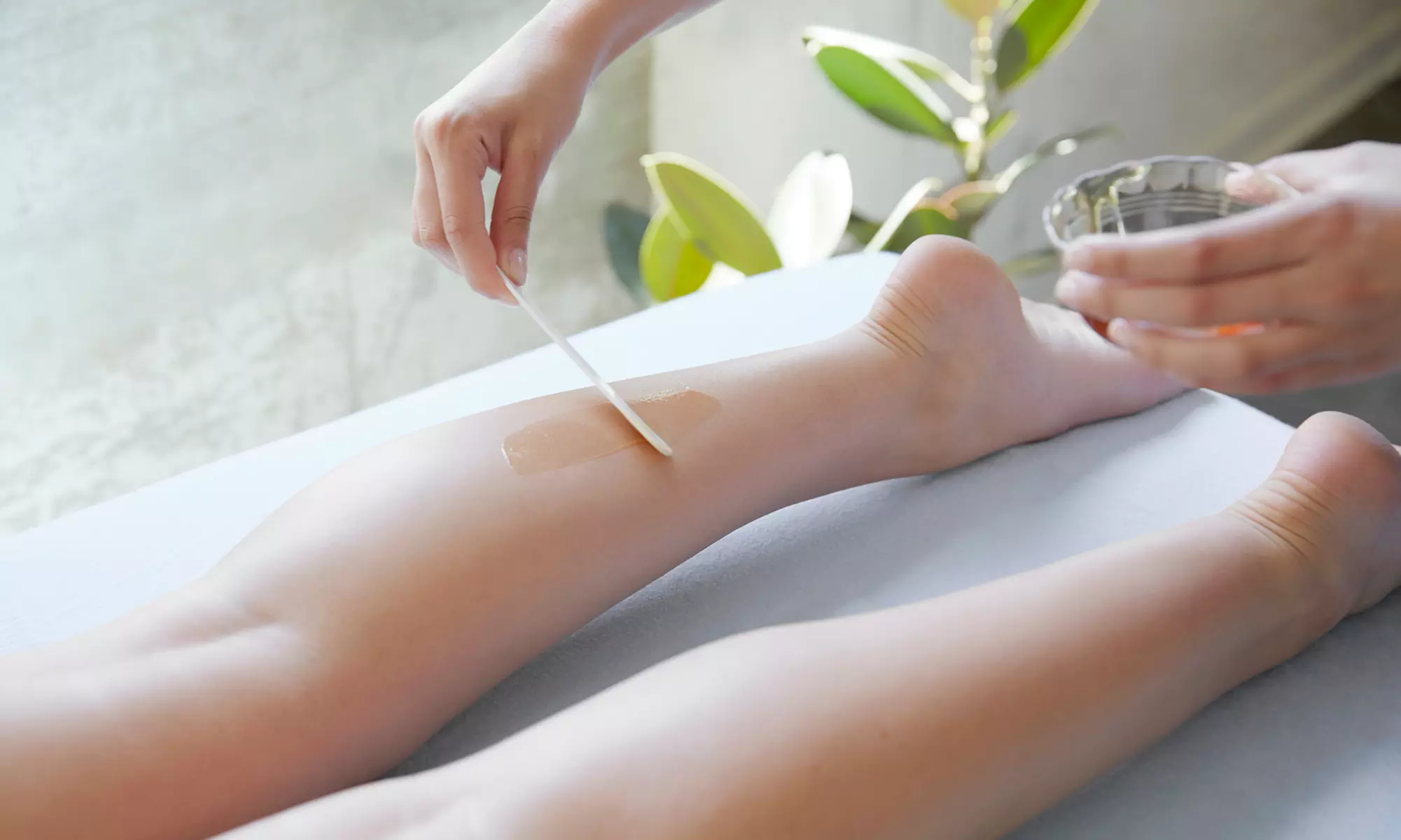 1 ou 2 séances d’épilation sur 3 zones au choix dès 19,90 € à l'institut L'Orée Du Bois - Primary Image