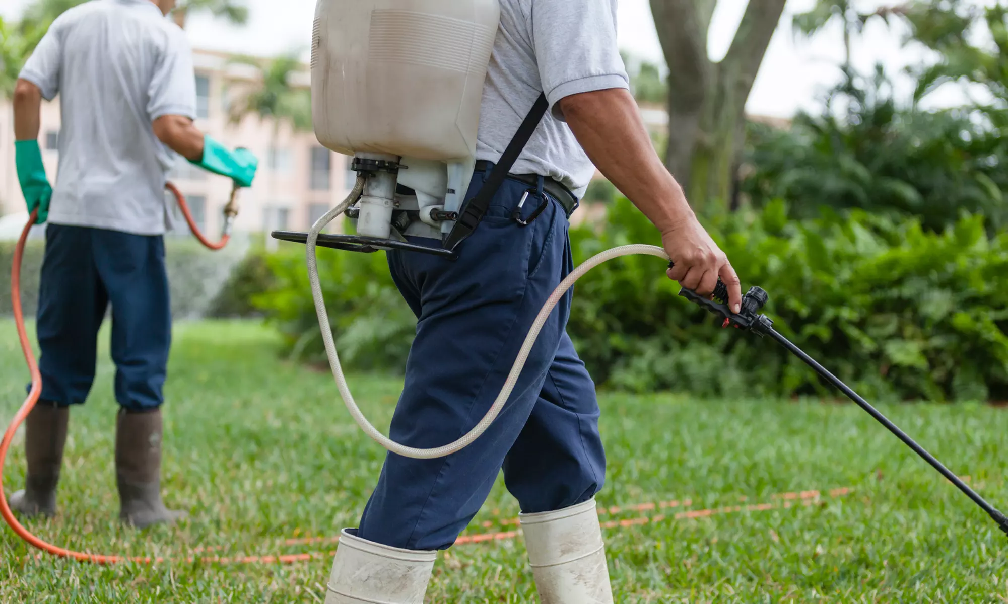 $45 for Pest Inspection and Pest Control Mosquito Treatment from Naturalcare Pest Control ($149 Value) - Primary Image