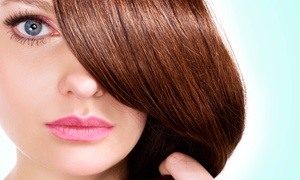 Elite Beauty & Coiffeur: Komplett-Haarschnitt für alle Längen, optional mit Farbe oder Strähnen, bei Elite Beauty & Coiffeur (bis zu 62% sparen*)