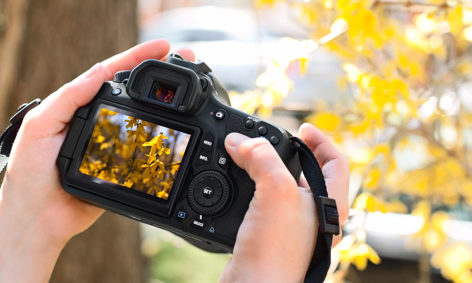$104 for an Intro to Photography Class from Aperture Academy ($195 Value) - Primary Image