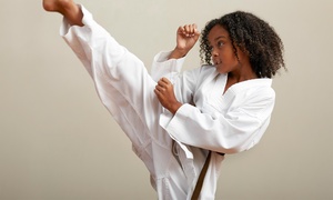 Online Kids Martial Arts Classes