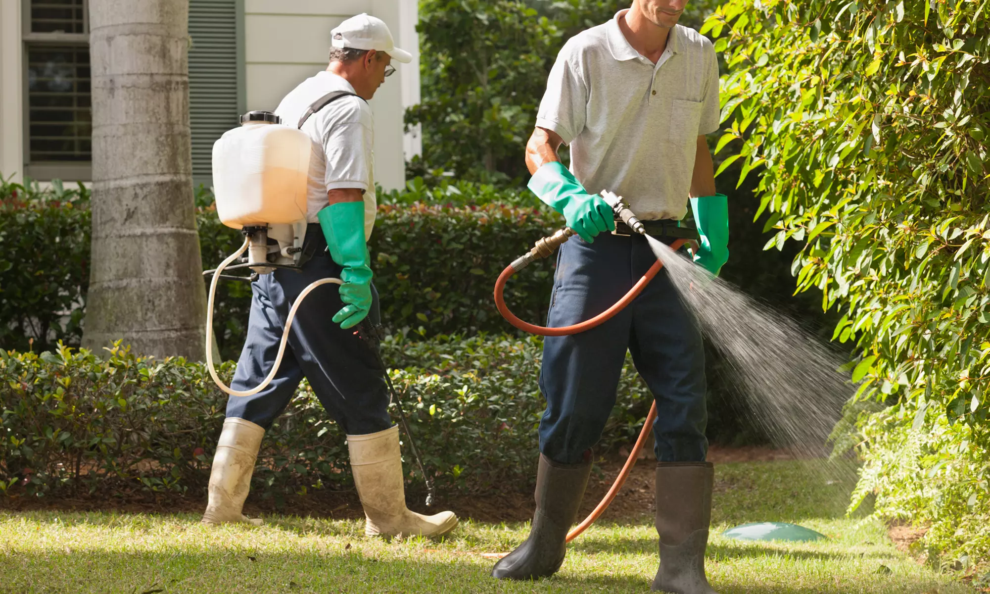 Indoor and Outdoor Pest Control Service or Home Pest Defense from North Florida Lawn & Pest (Up to 56% Off) - Primary Image